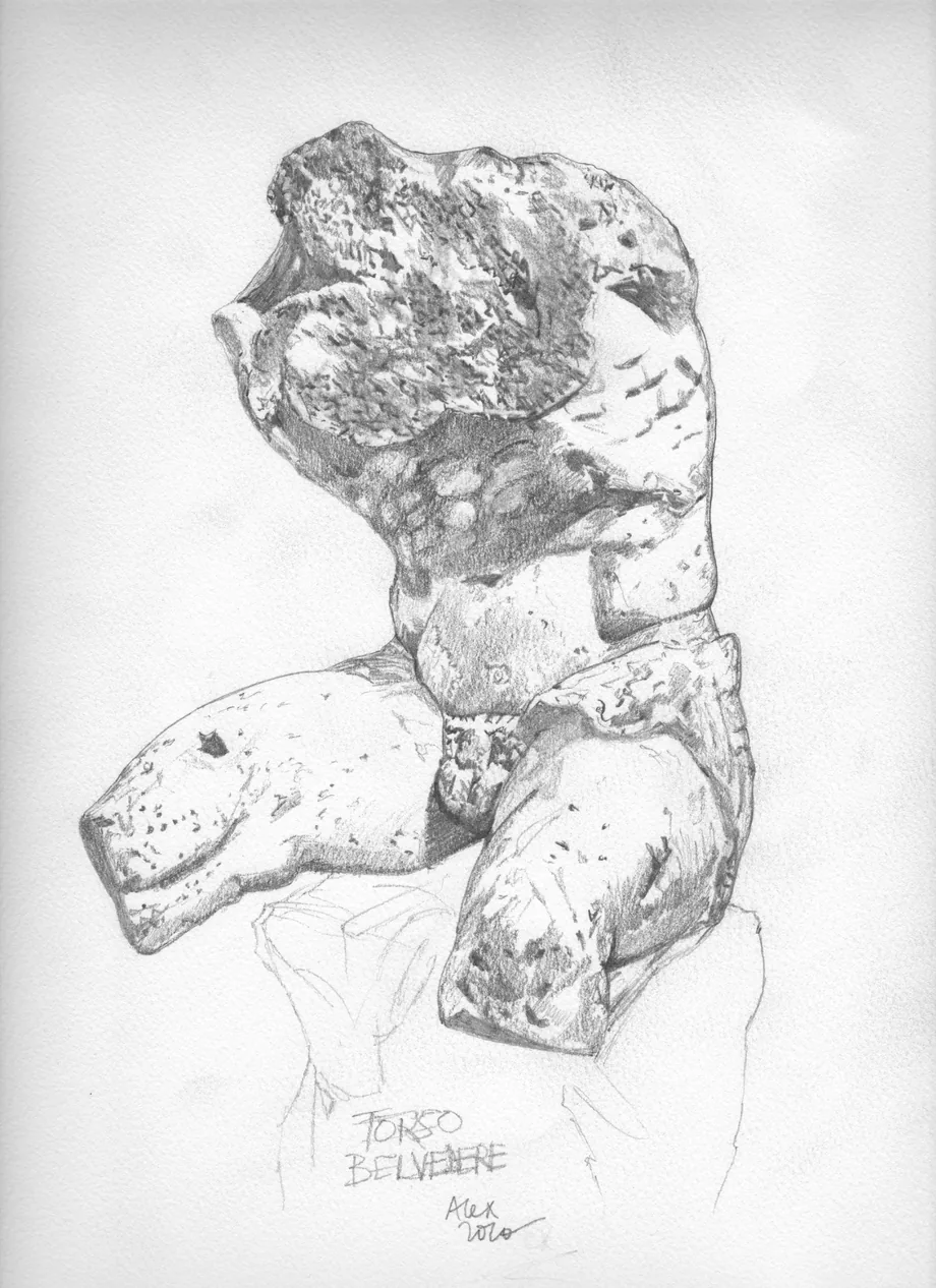 Graphite drawing of the Belvedere Torso by Alexandre G. Mitchell